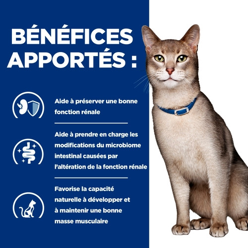 Hill's Prescription Diet Féline Chat K/D