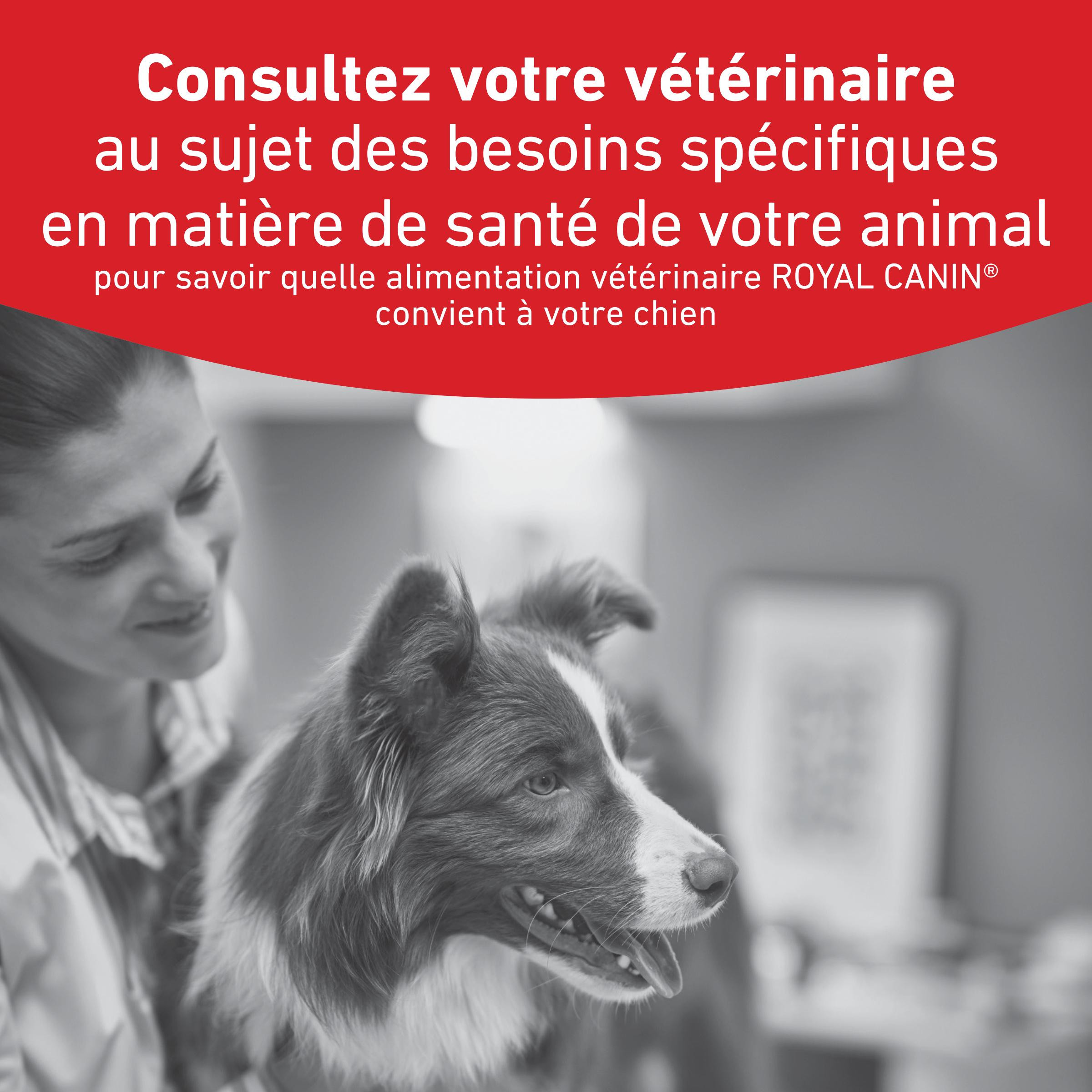 Royal Canin Veterinary Glycobalance Small Dogs hondenvoer
