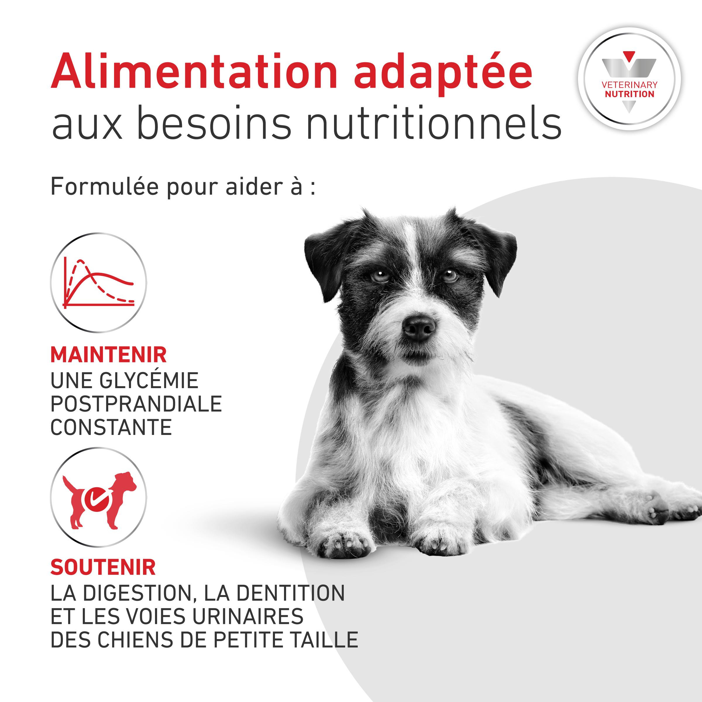 Royal Canin Veterinary Glycobalance Small Dogs hondenvoer