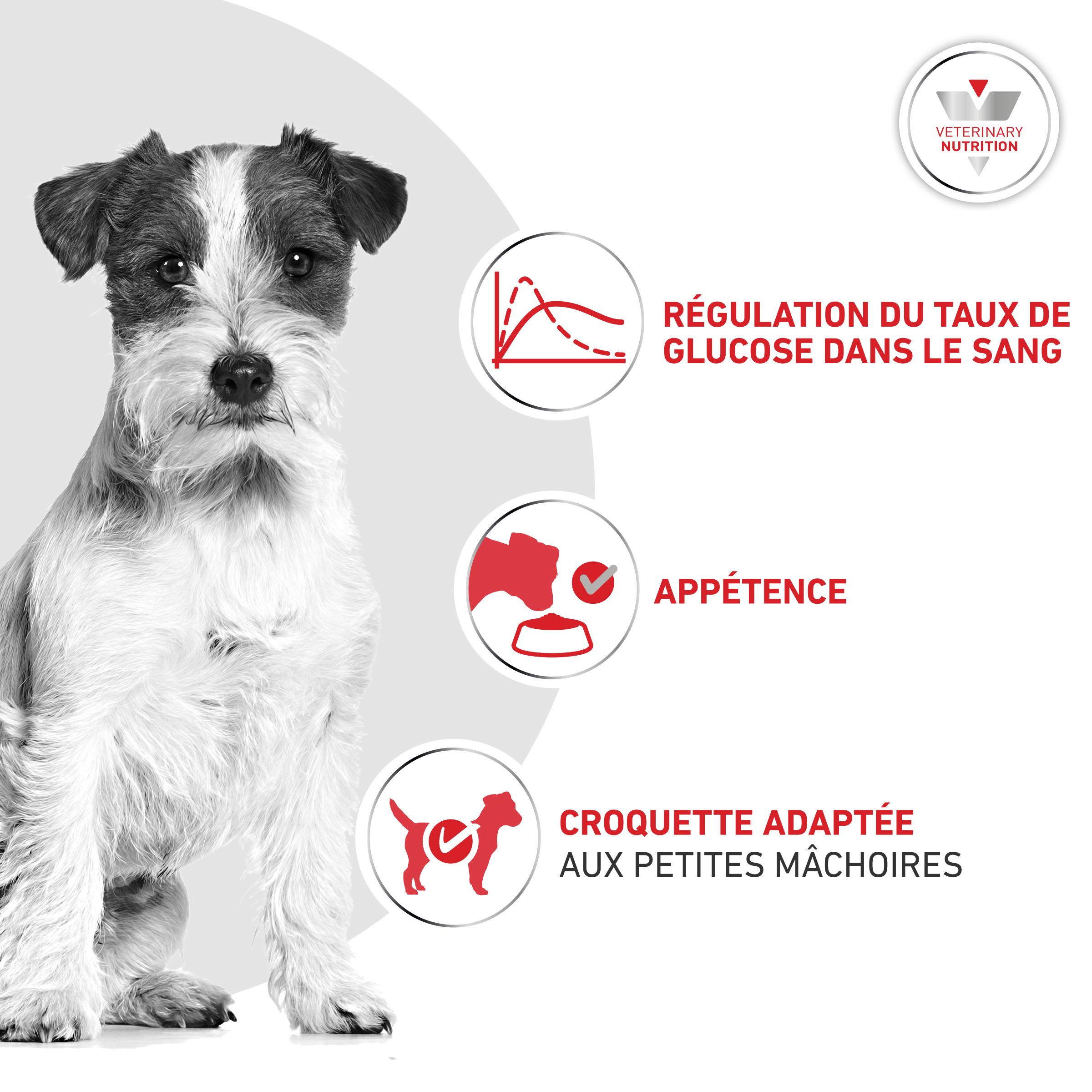 Royal Canin Veterinary Glycobalance Small Dogs hondenvoer