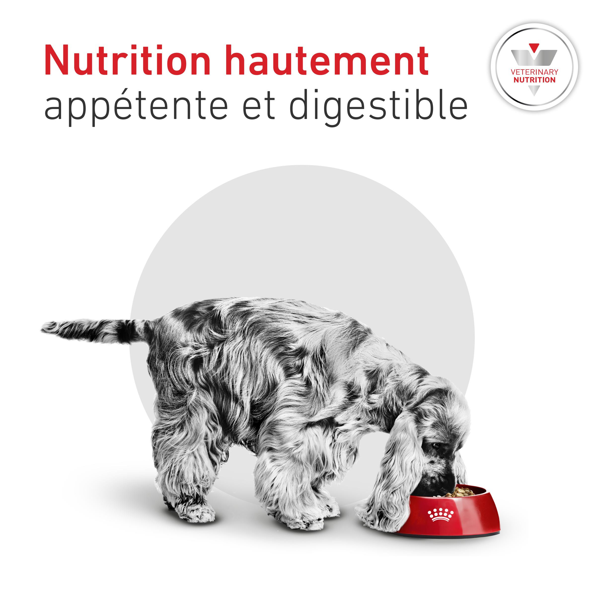 Royal Canin Veterinary Glycobalance hondenvoer