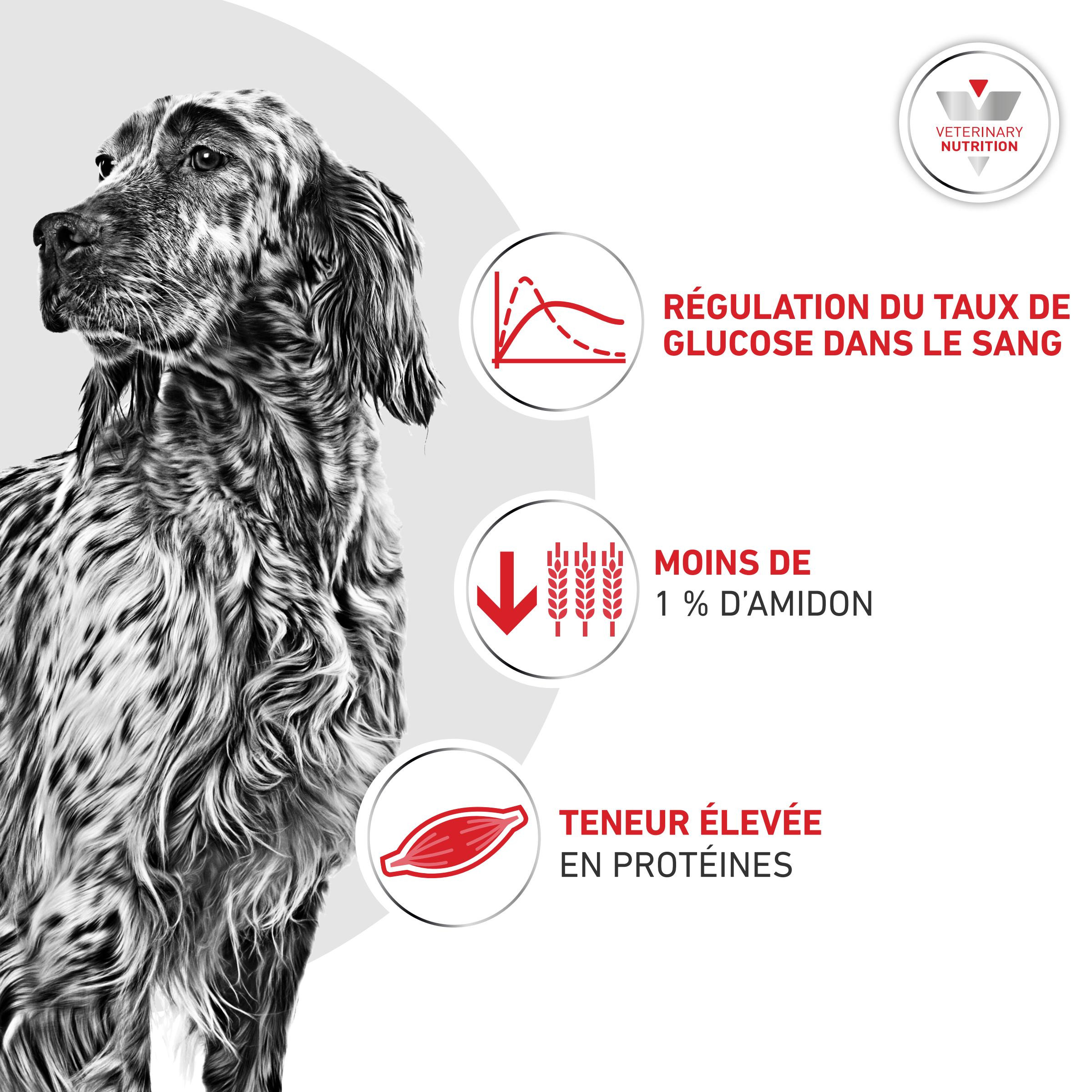 Royal Canin Veterinary Glycobalance natvoer hond (paté)