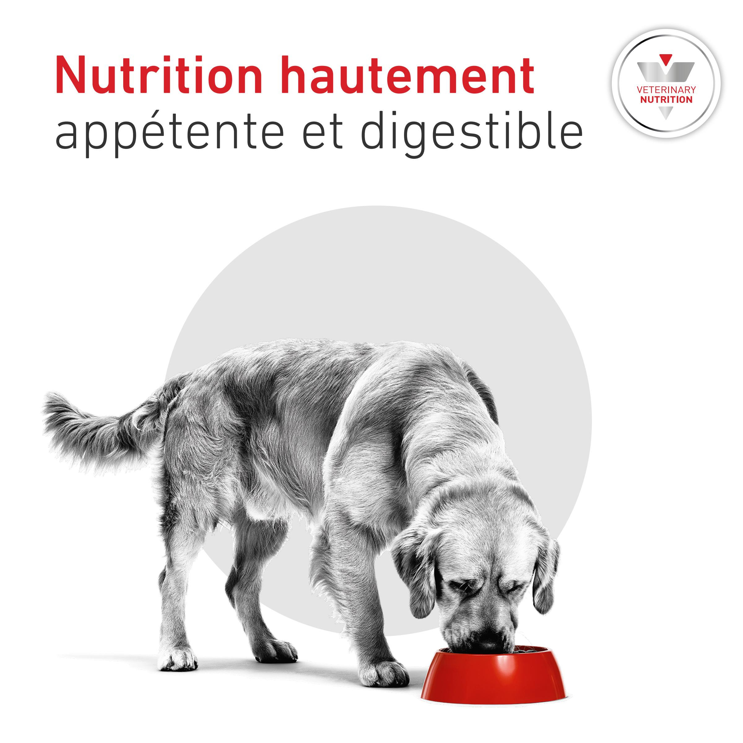 Royal Canin Veterinary Glycobalance natvoer hond (paté)