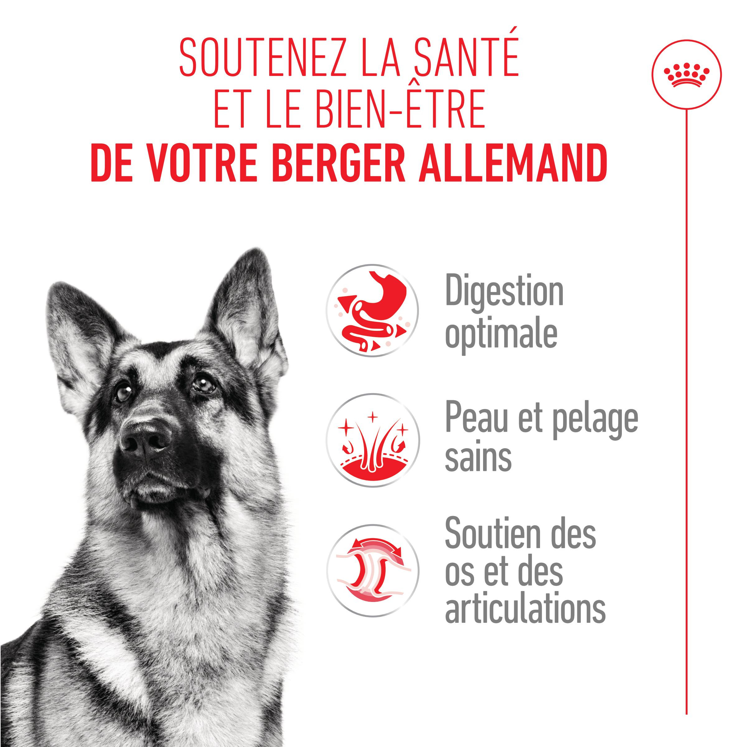 Royal Canin Adult Berger Allemand pour chien