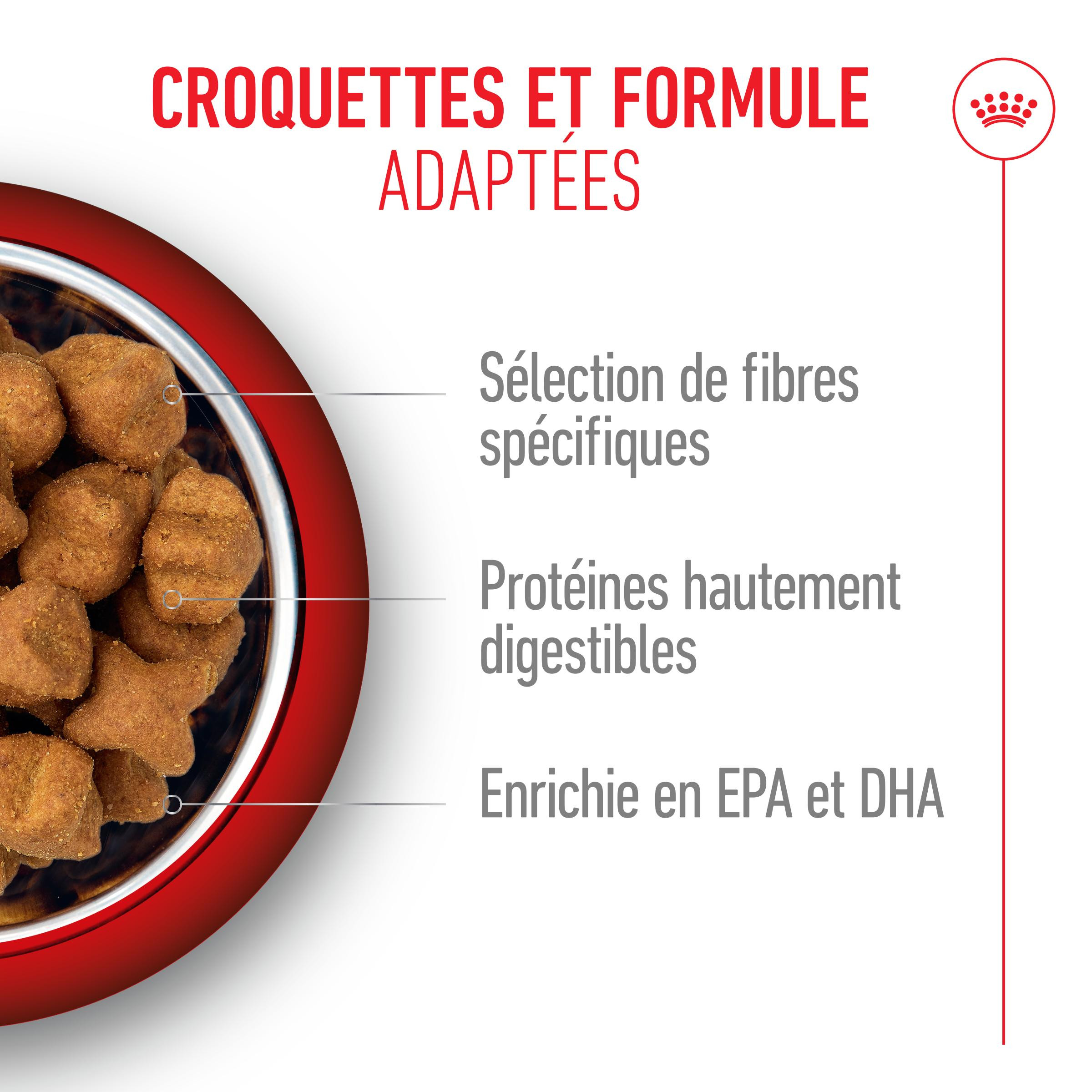 Royal Canin Adult Berger Allemand pour chien