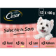Cesar Adult Sélection pâtée en sauce multipack en sachets pour chien (100 g)
