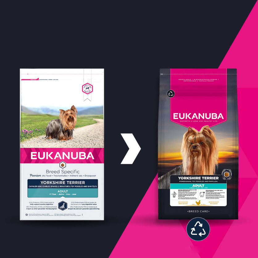Eukanuba Yorkshire Terriër Adult