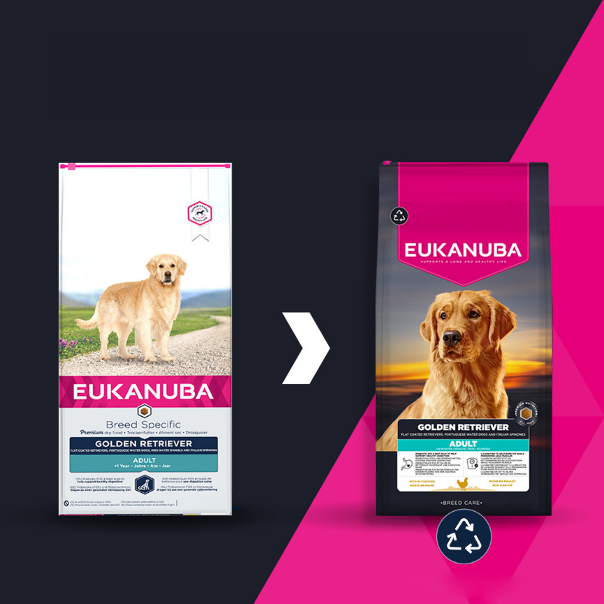 Eukanuba Breed Specific Golden Retriever pour chien