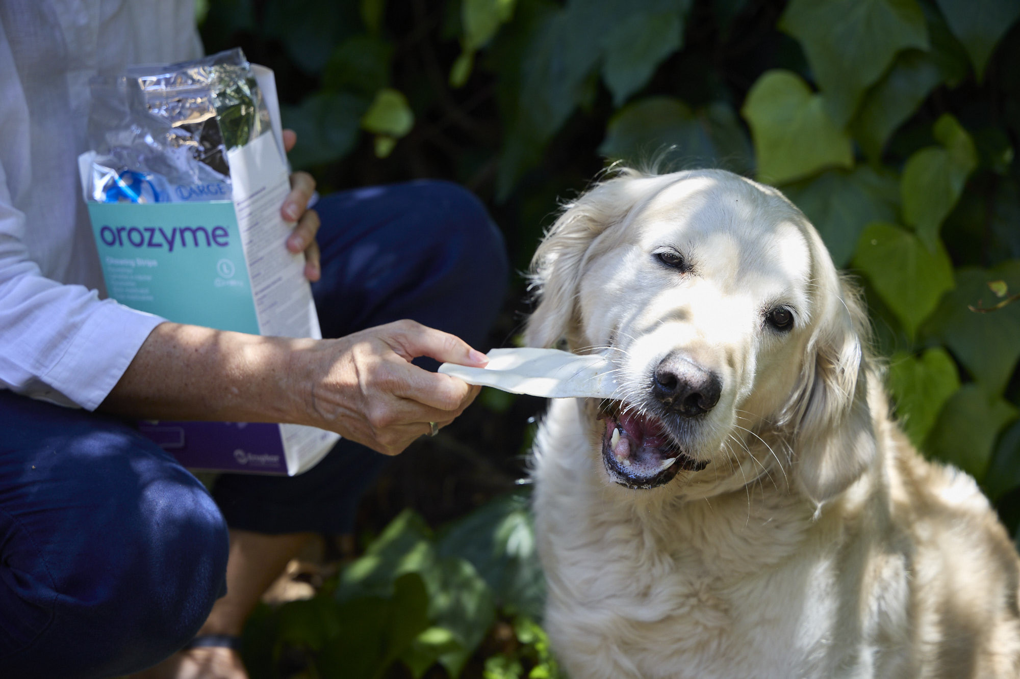Orozyme Enzymatische Kauwstrips Hond Large vanaf 30 kg