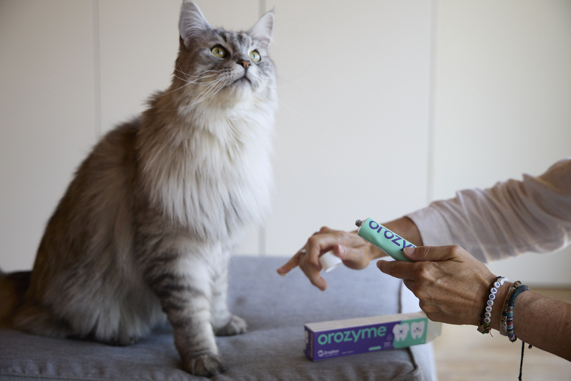 Orozyme tandpasta voor hond en kat