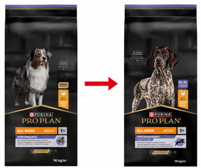 Pro Plan All Sizes Adult Protein & Energy au poulet pour chien