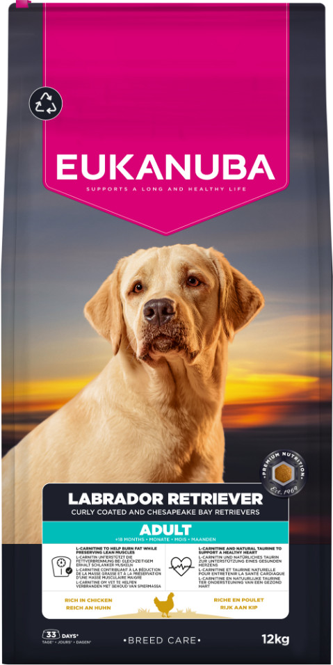 Eukanuba Labrador Retriever Adult pour chien