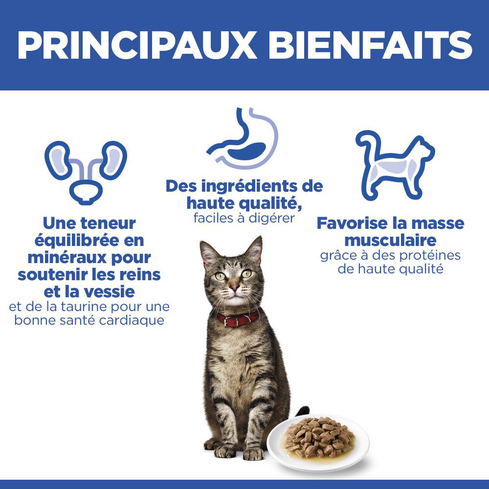 Hill's Adult au poisson de mer sachet pour chat 85 g