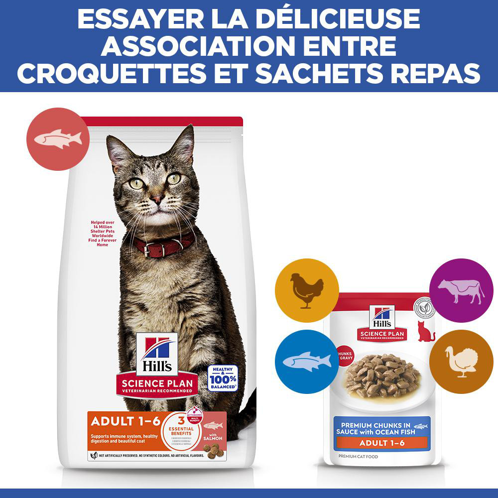 Hill's Adult au poisson de mer sachet pour chat 85 g