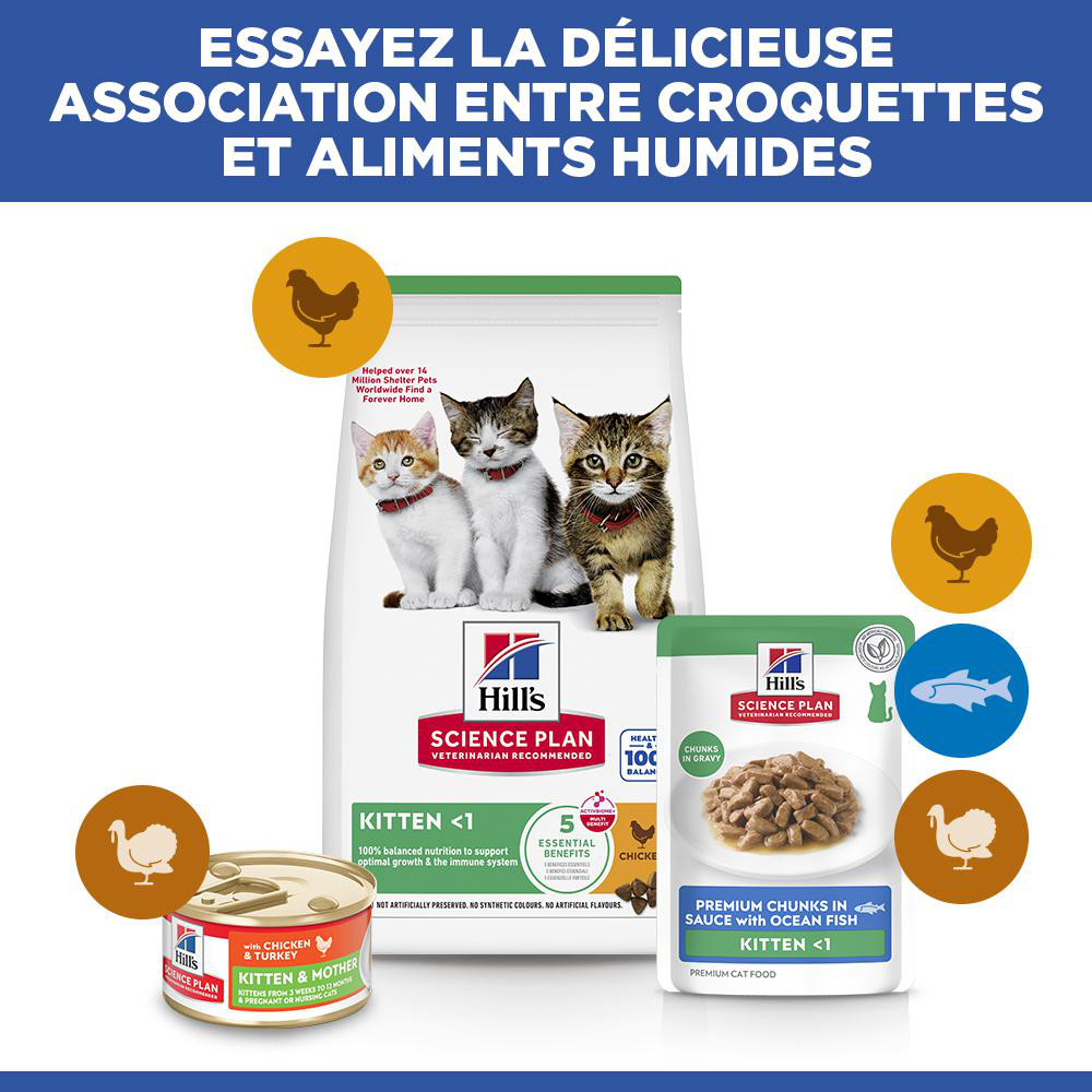 Hill's Kitten nat kattenvoer met zeevis maaltijdzakje multipack