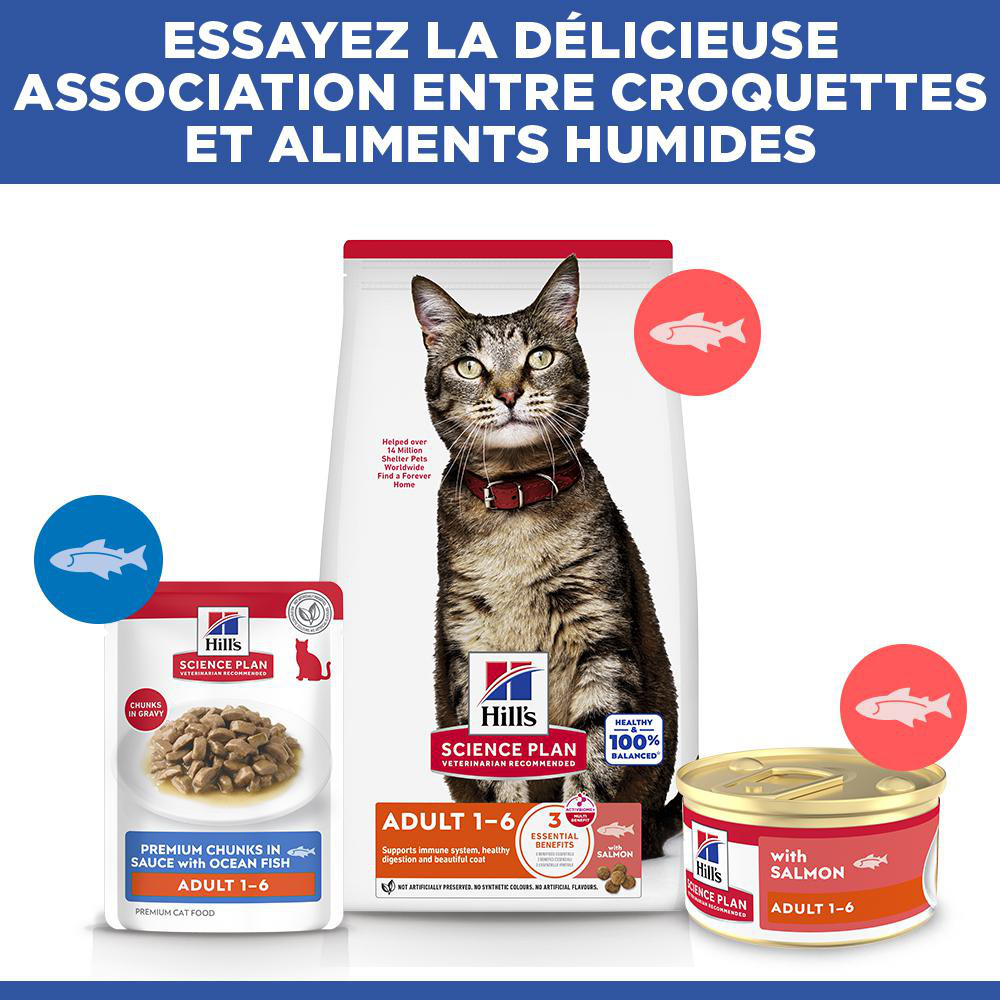 Hill's Adult au saumon pâtée pour chat (mousse, boîte)
