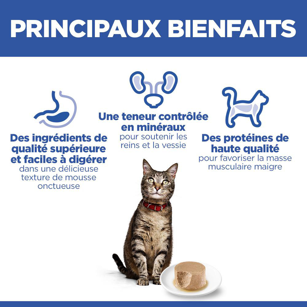 Hill's Adult au saumon pâtée pour chat (mousse, boîte)