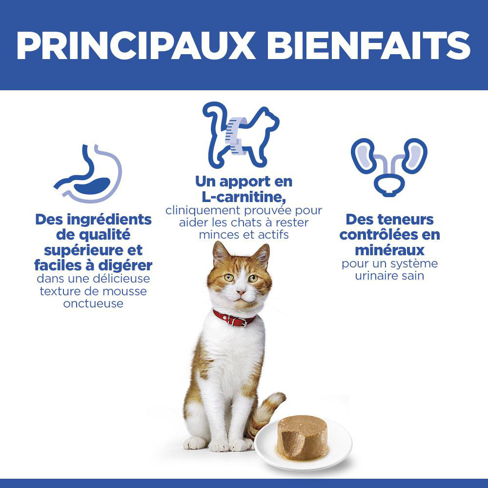 Hill's Adult Sterilised Cat au poulet pâtée pour chat (mousse, boîte)