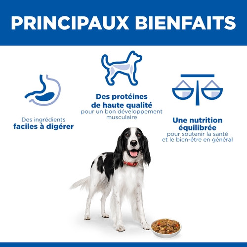Hill's Adult au poulet & aux légumes pâtée pour chien (mijoté, boîte)