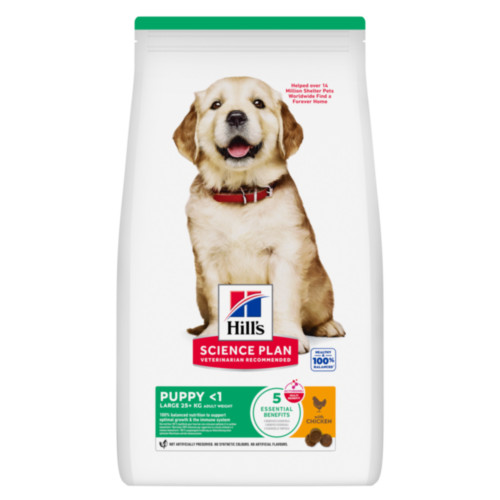 Hill's Puppy Large au poulet pour chiot