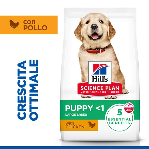 Hill's Puppy Large au poulet pour chiot