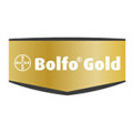 Bolfo Gold chat