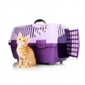 Accessoires pour Chat