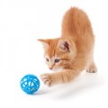 Jouets pour Chat