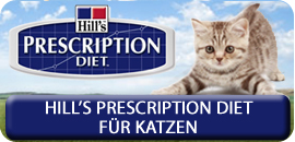 hills prescription diet Katze