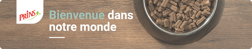 Prins