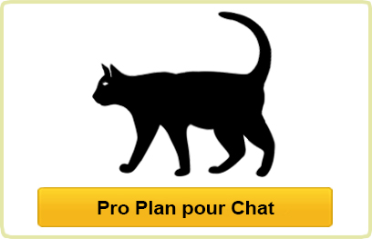 Pro Plan pour Chat