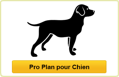 Pro Plan pour Chien