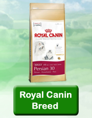 Royal Canin Breed Chat