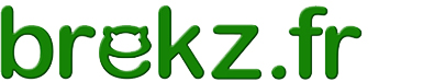 Logo Brekz