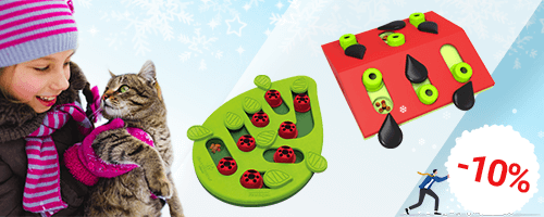 Jouets interactifs pour chats : temporairement avec 10% de réduction