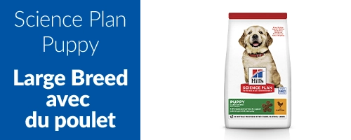 20% de réduction sur Hill's Science Plan Chiot Large Breed avec Poulet